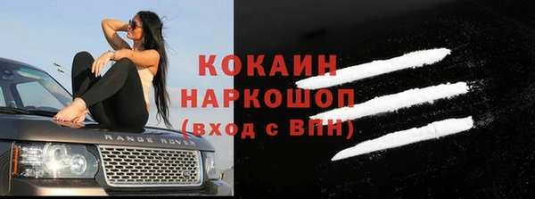дживик Богданович