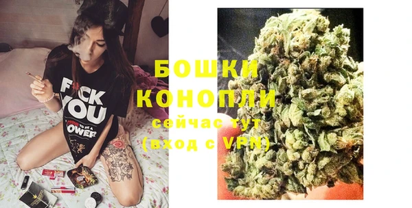 дживик Богданович