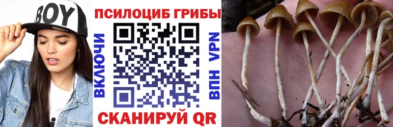 где найти наркотики  Дятьково  Галлюциногенные грибы MAGIC MUSHROOMS 